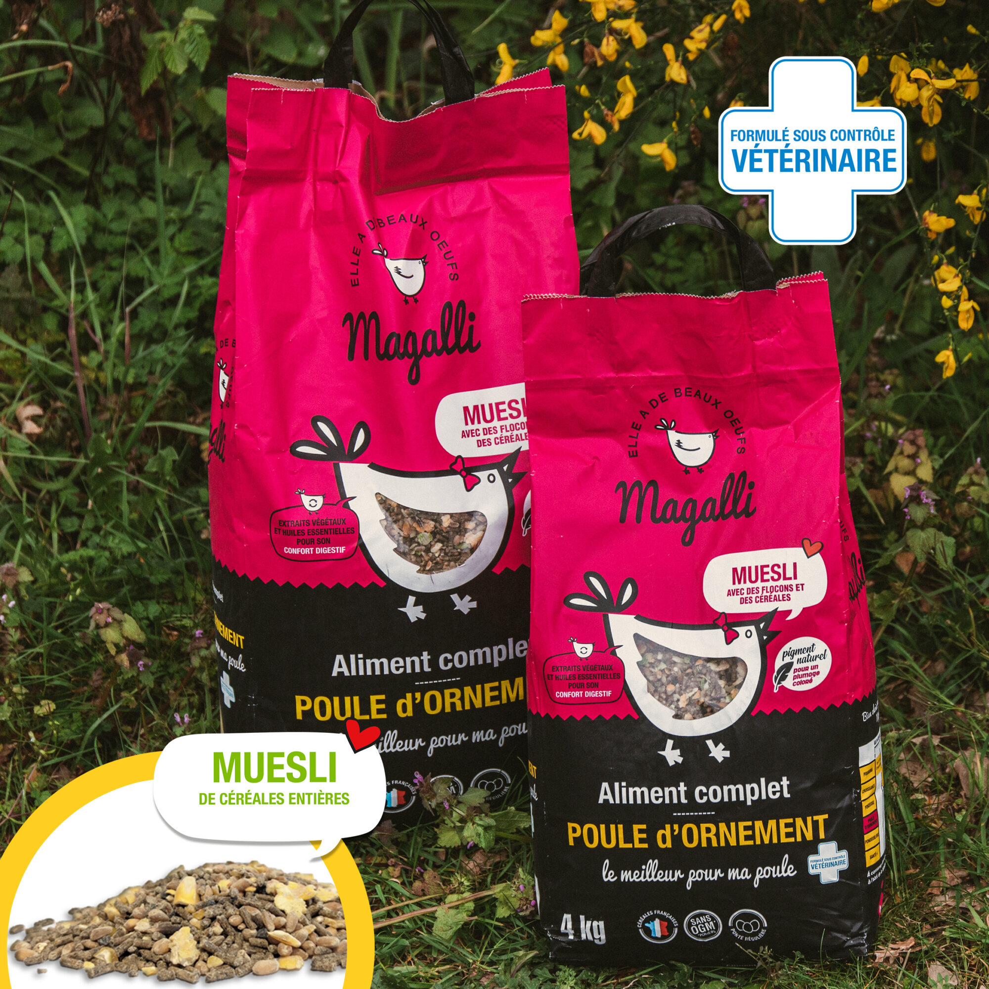 https://www.magalli.fr/voy_content/uploads/2022/08/1.-Muesli-Aliment-poule-dornement.jpg