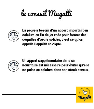 le-conseil-magalli_coquilles-marines-100
