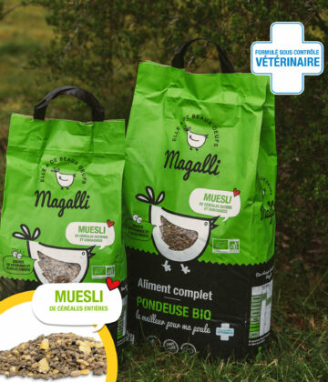 Muesli Aliment poule pondeuse Agriculture biologique
