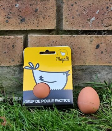 MAGALLI - Oeuf factice - pack (7)