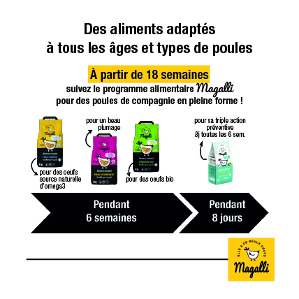 Quelle ration de graines par jour pour une poule pondeuse ?  Poule pondeuse,  Alimentation poule, Alimentation poule pondeuse