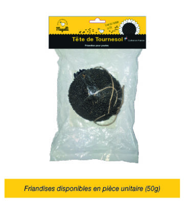 friandise_tete-de-tournesol-magalli-100