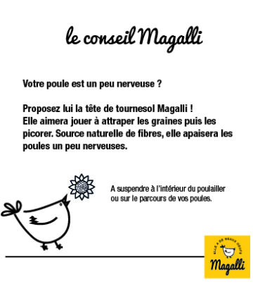 le conseil magalli - tete de tournesol-100