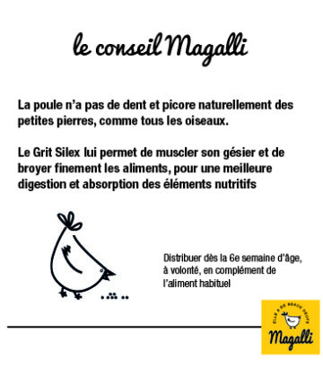 le-conseil-magalli_grit-100