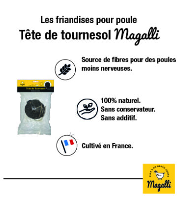 plus-produit-tête de tournesol-magalli-100