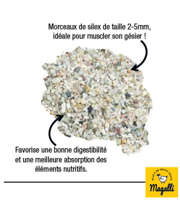 Présentation du grit poule MAGALLI sous forme de morceaux de silex pour muscler le gésier des poules