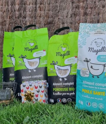 LES BOXES MAGALLI - Box poule pondeuse Bio (10)