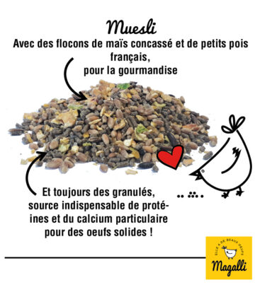 MAGALLI - BOX MUESLI POULE D'ORNEMENT