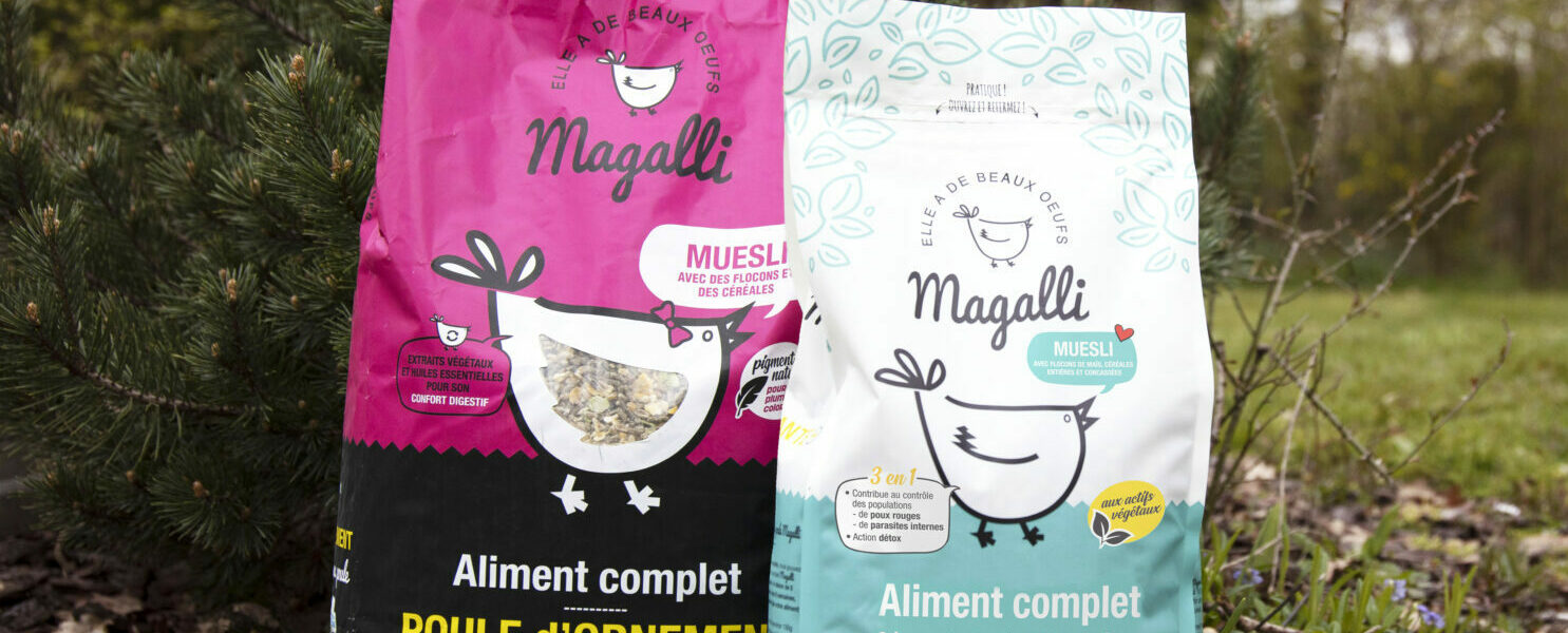 MAGALLI - POULE SANTE + - MUESLI ORNEMENT