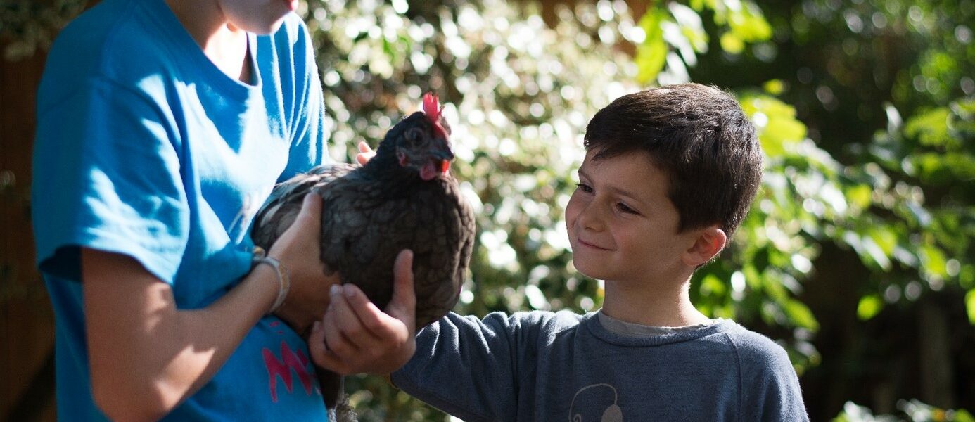 garçons + poule