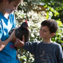 garçons + poule