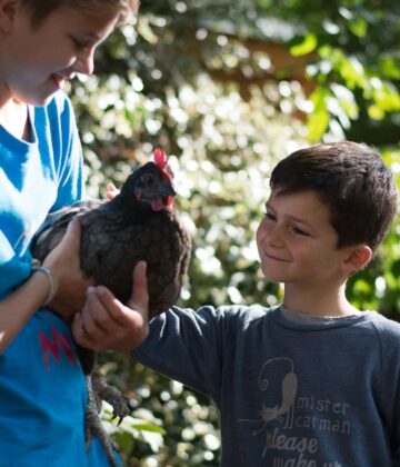 garçons + poule