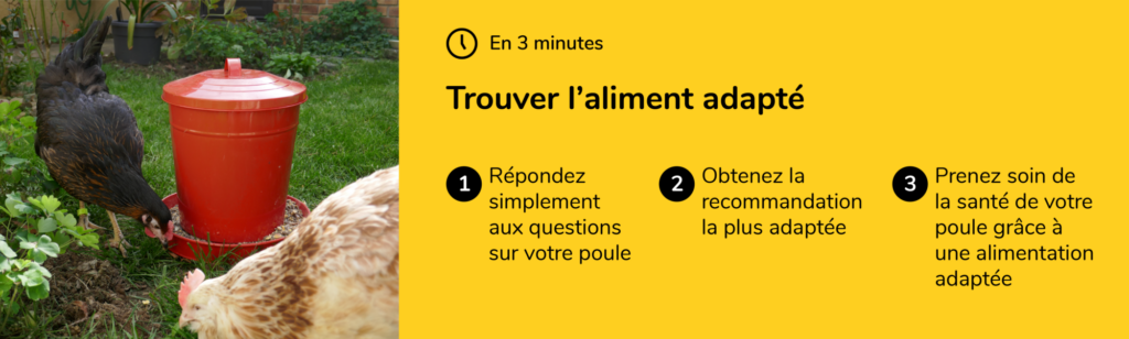Questionnaire pour trouver l'aliment adapté à sa poule
