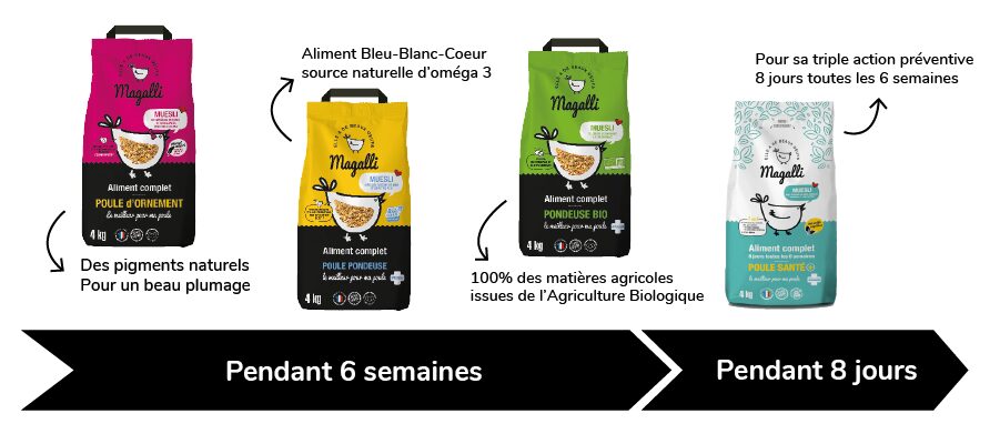Cycle du programme nutritionnel Magalli recommandé par les experts nutritionnistes des poules Magalli