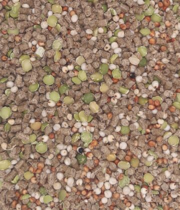 Zoom produit mélange friandise Ver'Micelle Magalli