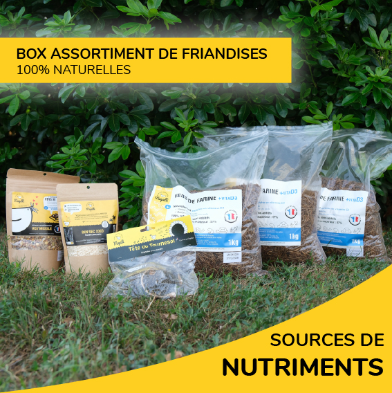 Box Assortiment de Friandises