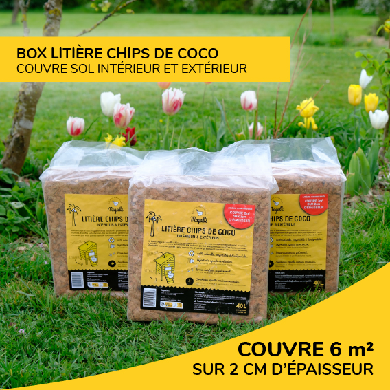 Box Litière Chips de Coco