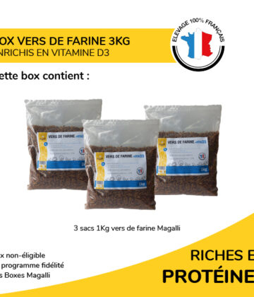 Box Vers de Farine 3Kg – Image 2