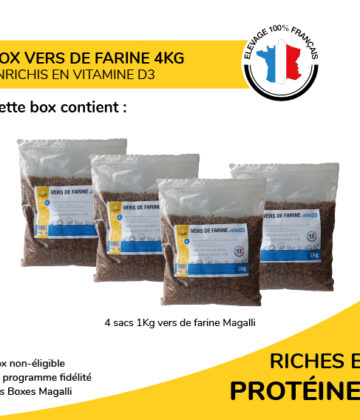 Box Vers de Farine 4Kg – Image 2