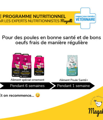 Box Programme Nutritionnel Spéciale Poule d'Ornement – Image 4