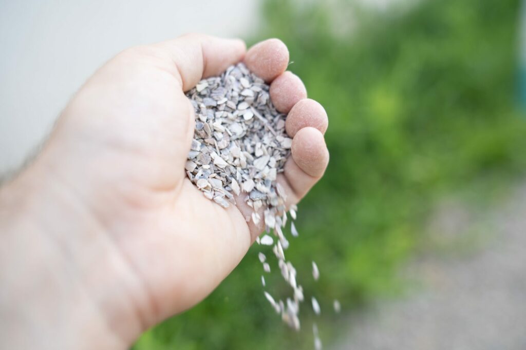 Coquilles marines calcaire Magalli enrichies en grit riches en calcium pour poules