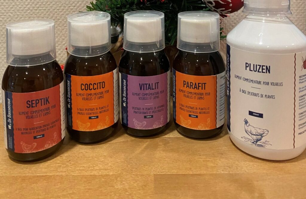 Compléments alimentaires riches en vitamines pour la santé des poules